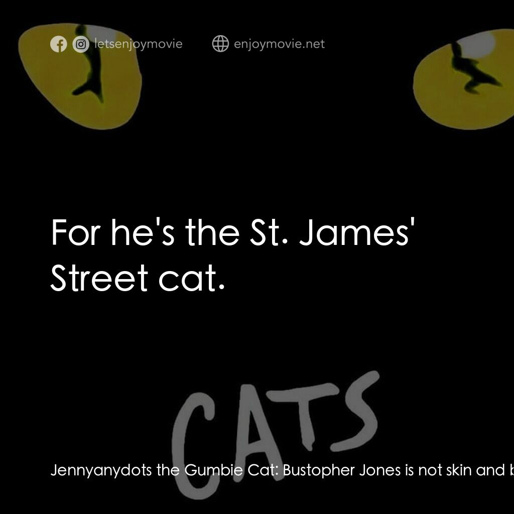 貓電影對白：Jennyanydots the Gumbie Cat:  Bustopher Jones is not skin and bones. Bombalurina: