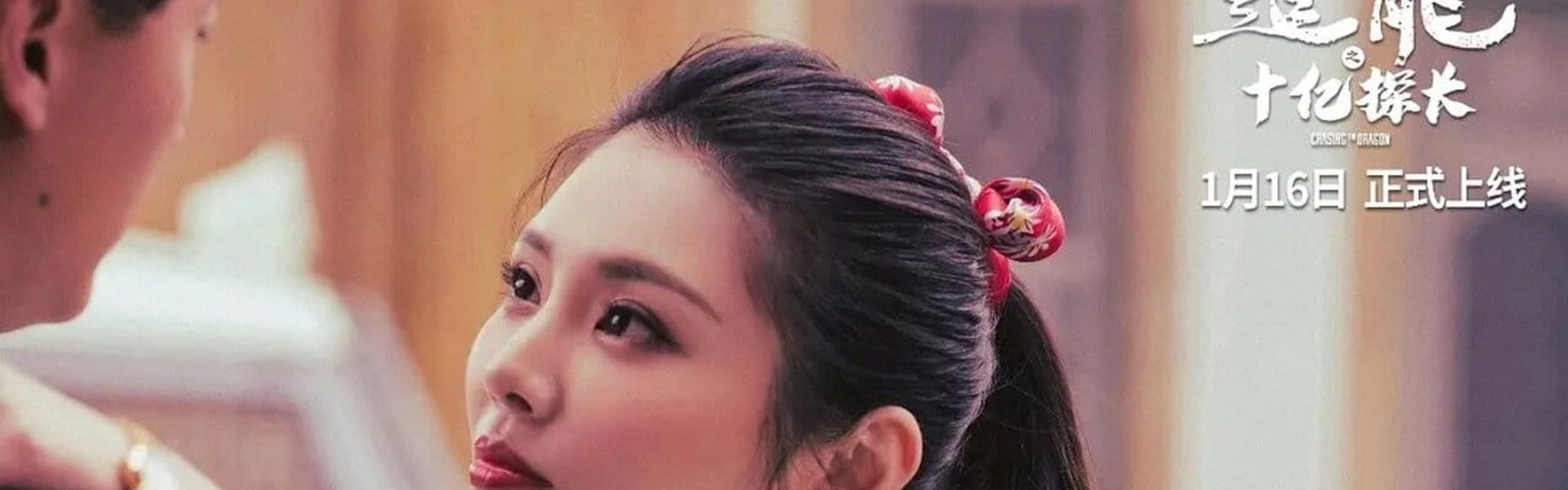 追龍番外篇之十億探長電影劇照