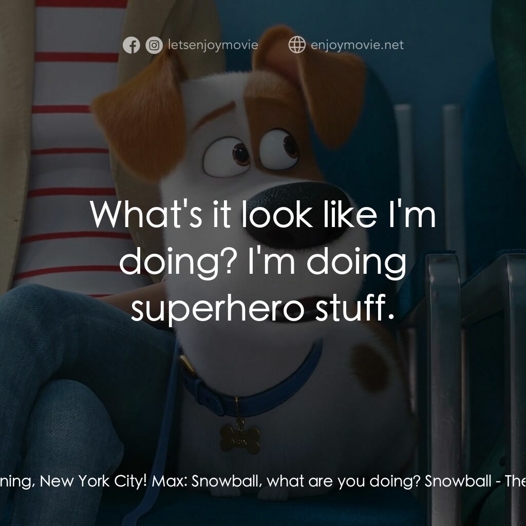 Pet Pet當家 2電影對白：Snowball:  Good morning, New York City! Max:  Snowball, what are you doing? Snowb