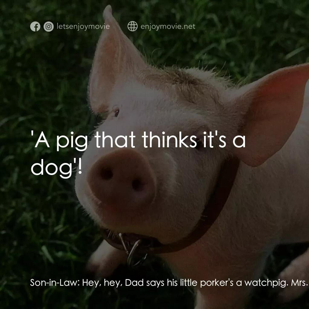 寶貝小豬嘜電影對白：Son-in-Law:  Hey, hey, Dad says his little porker's a watchpig. Mrs. Esme Hoggett