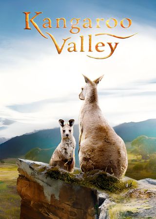 《袋鼠谷》電影海報