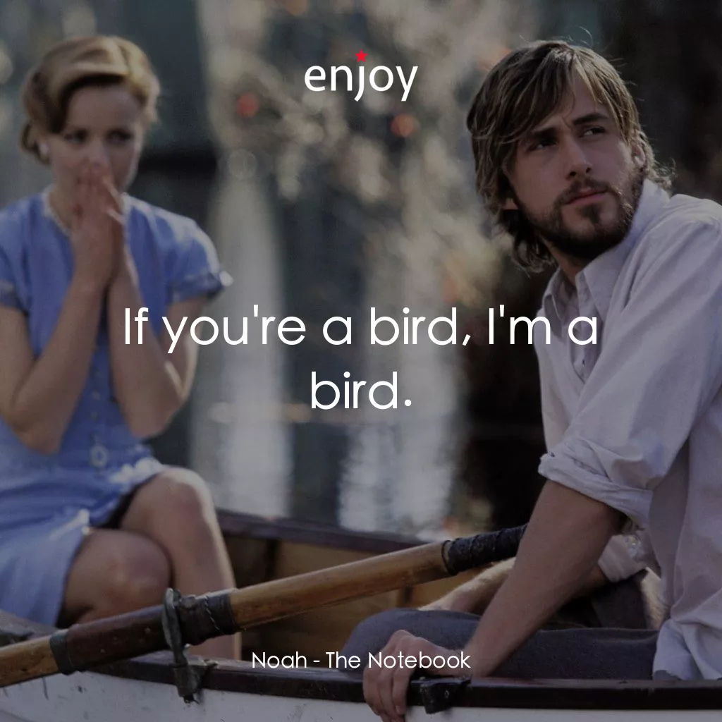 忘了、忘不了電影對白：Noah: If you're a bird, I'm a bird.