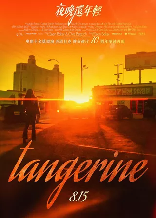 夜晚還年輕 海報