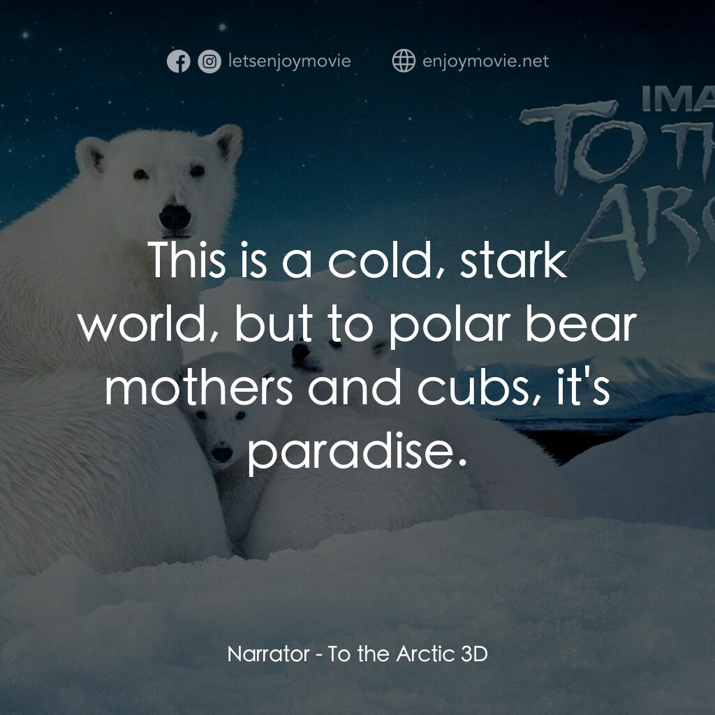 到北極去電影對白：Narrator:  This is a cold, stark world, but to polar bear mothers and cubs, it's 