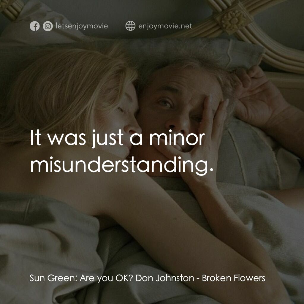愛情，不用尋找電影對白：Sun Green:  Are you OK? Don Johnston:  It was just a minor misunderstanding.