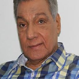 Ahmed Abdel Wareth 飾演 Captain Hossam