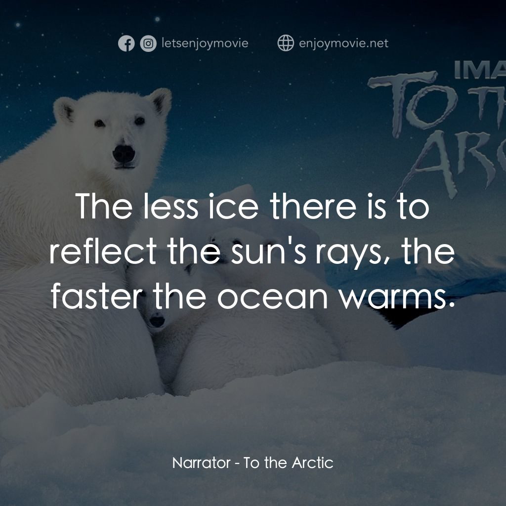 到北極去電影對白：Narrator: The less ice there is to reflect the sun's rays, the faster the ocean w