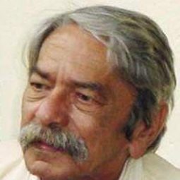 René de la Cruz - 低度發展的回憶演員 飾演Elena's brother