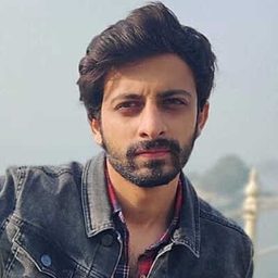 Abhishek Chauhan 飾演 Viresh Chatwal / Bhukhan