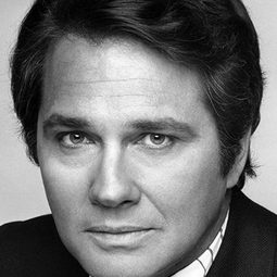 Brett Halsey 飾演 Roy Colt