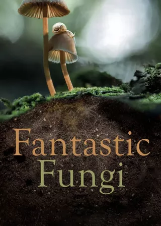《美妙蕈菇》電影海報