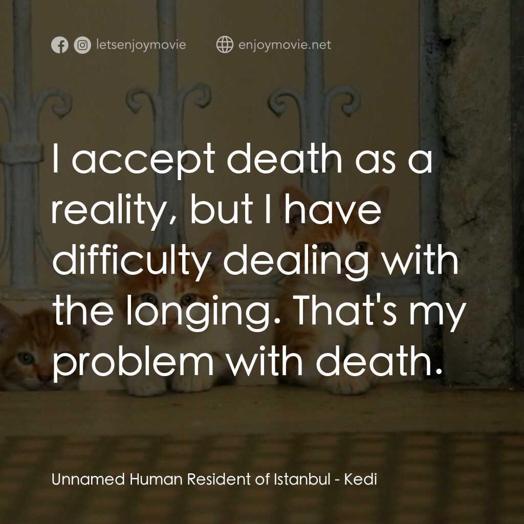 走過貓咪聖地電影對白：Unnamed Human Resident of Istanbul:  I accept death as a reality, but I have diff