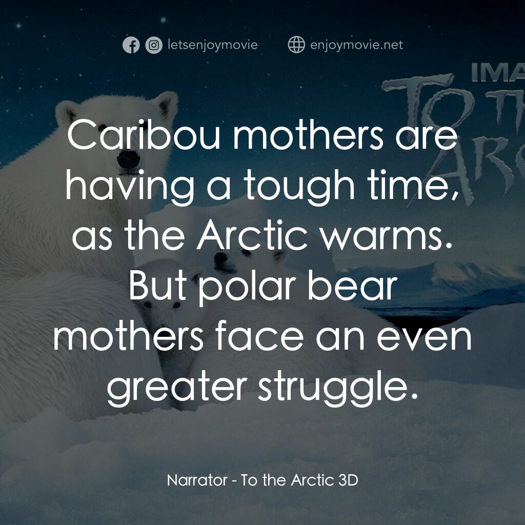 到北極去電影對白：Narrator:  Caribou mothers are having a tough time, as the Arctic warms. But pola