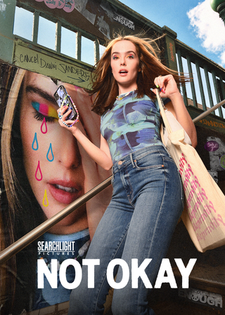 騙讚別見怪 海報