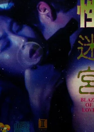 《性迷宮》電影海報
