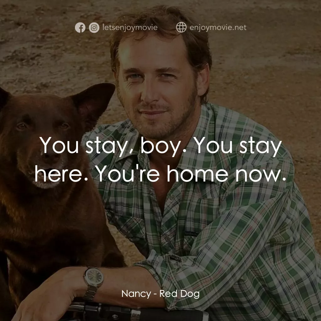 《紅狗背包客》經典台詞：Nancy:  You stay, boy. You stay here. You're h ...