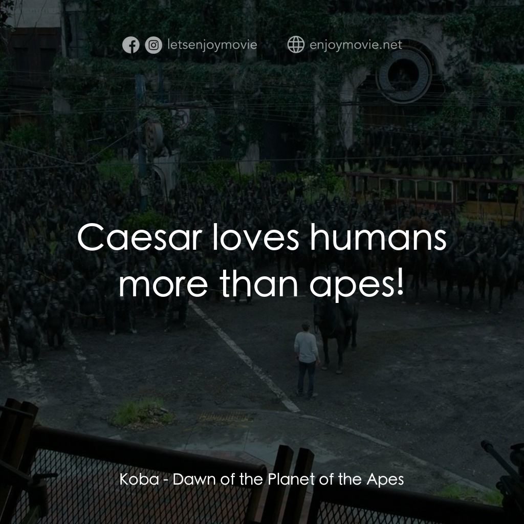 猩球崛起：黎明的進擊電影對白：Koba: Caesar loves humans more than apes!