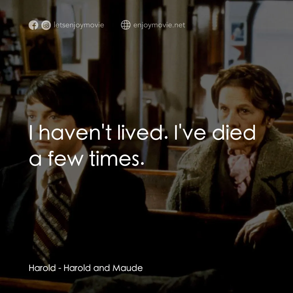 哈洛與茂德電影對白：Harold: I haven't lived. I've died a few times.