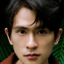 石知田 - 罪後真相演員 飾演Fu Lin