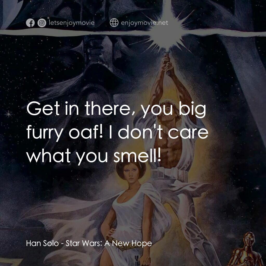 星球大戰四部曲：新的希望電影對白：Han Solo:  Get in there, you big furry oaf! I don't care what you smell!