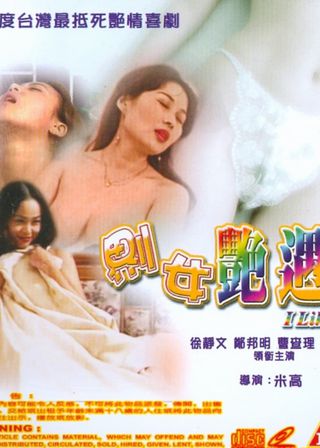 《𠝹女艷遇》電影海報