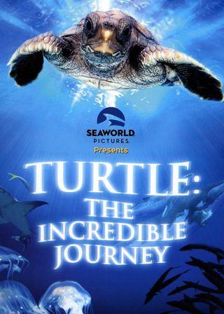 《Turtle: The Incredible Journey》電影海報