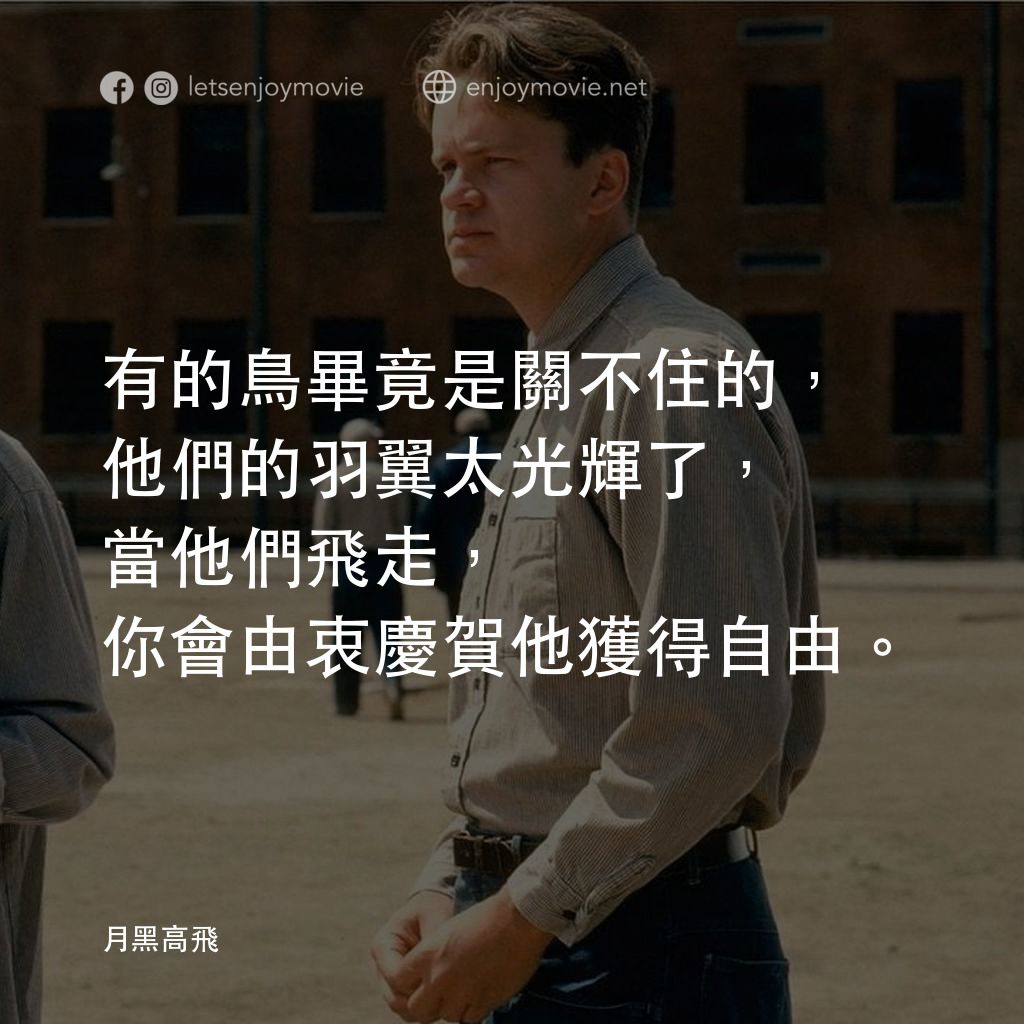 刺激 1995電影對白：有的鳥畢竟是關不住的，他們的羽翼太光輝了，當他們飛走，你會由衷慶賀他獲得自由。