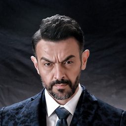 狼森 飾演 Chief Commissioner of Police