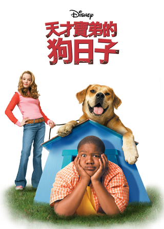 《天才寶弟的狗日子》電影海報