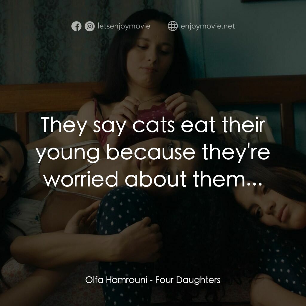 奧爾法的女兒們電影對白：Olfa Hamrouni:  They say cats eat their young because they're worried about them.