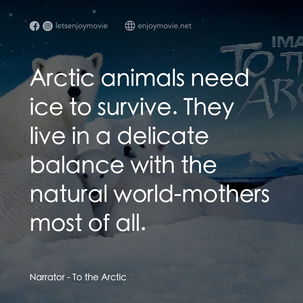 到北極去電影對白：Narrator: Arctic animals need ice to survive. They live in a delicate balance wit