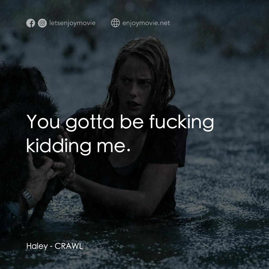 鱷魔電影對白：Haley:  You gotta be fucking kidding me.