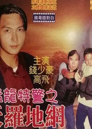 《猛龍特警之天羅地網》電影海報
