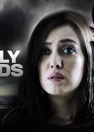 《舊影故情》電影海報