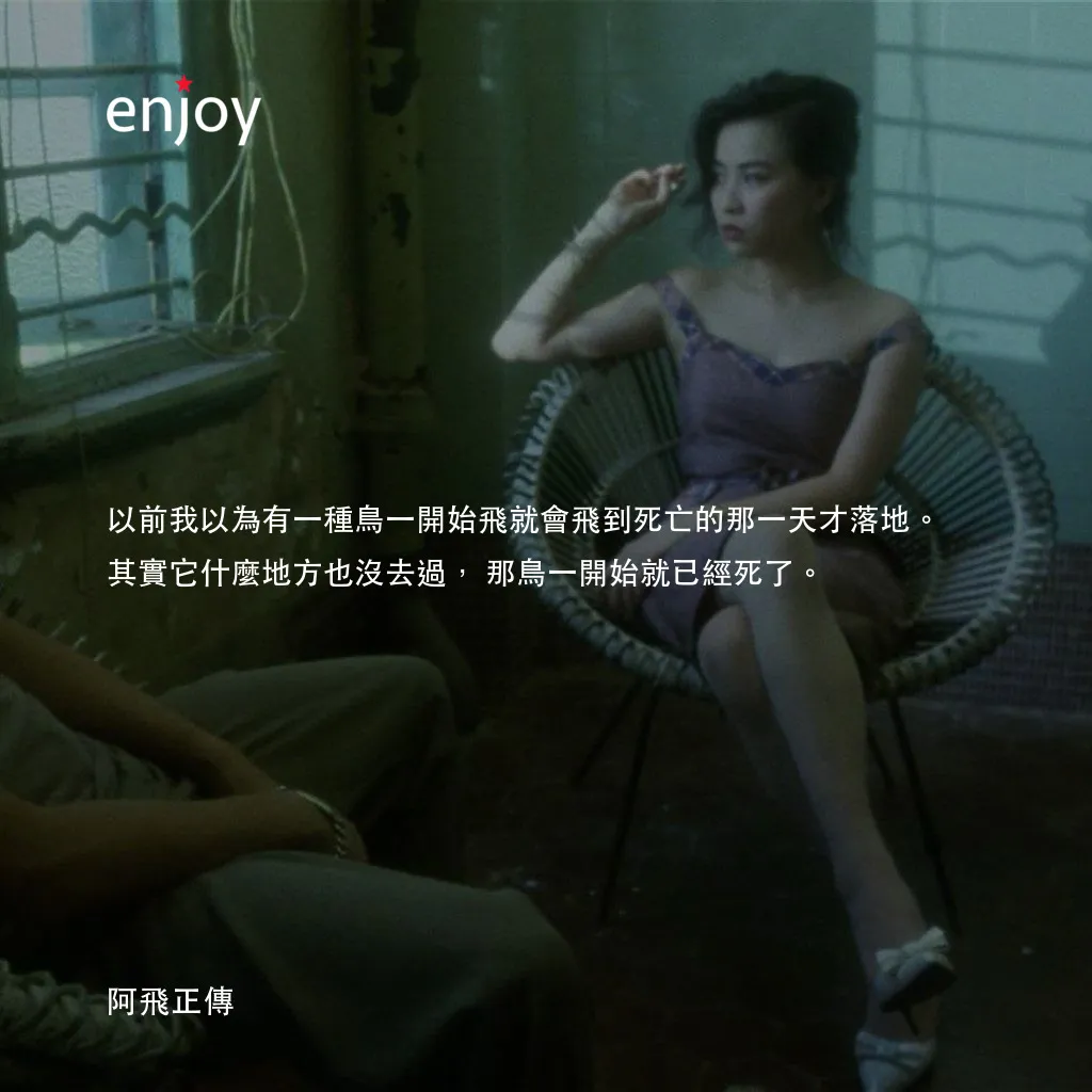 阿飛正傳電影對白：以前我以為有一種鳥一開始飛就會飛到死亡的那一天才落地。其實它什麼地方也沒去過，那鳥一開始就已經死了。