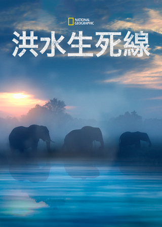 《洪水生死線》電影海報