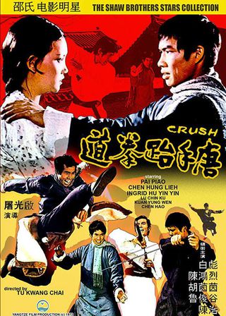 唐手跆拳道海報