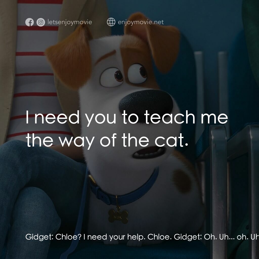 Pet Pet當家 2電影對白：Gidget:  Chloe? I need your help. Chloe. Gidget:  Oh. Uh... oh. Uh, Chloe? Chloe,