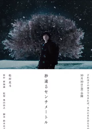 秒速５センチメートル的電影海報