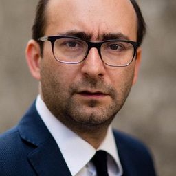 Armen Georgian 飾演 Ravi