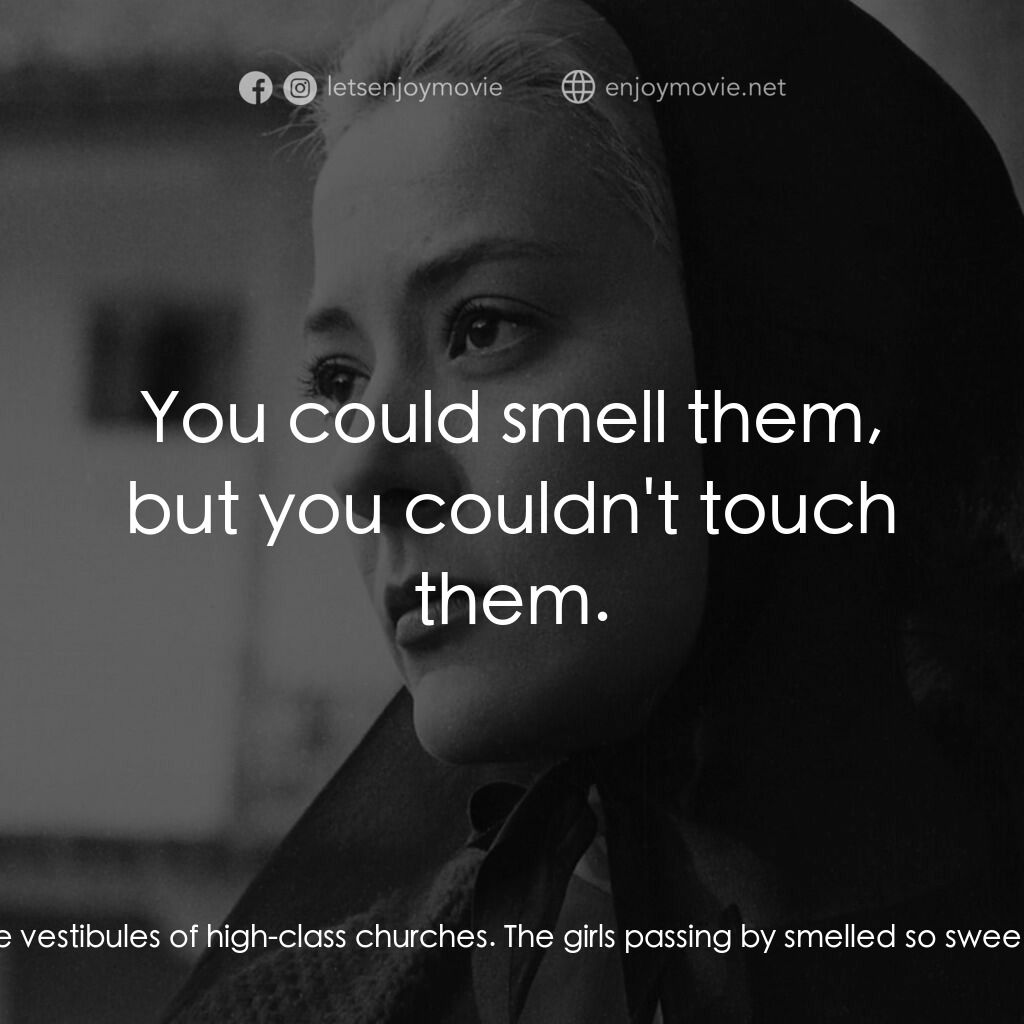 薇麗狄雅娜電影對白：Don Amalio:  Two of us decided to go begging in the vestibules of high-class chur