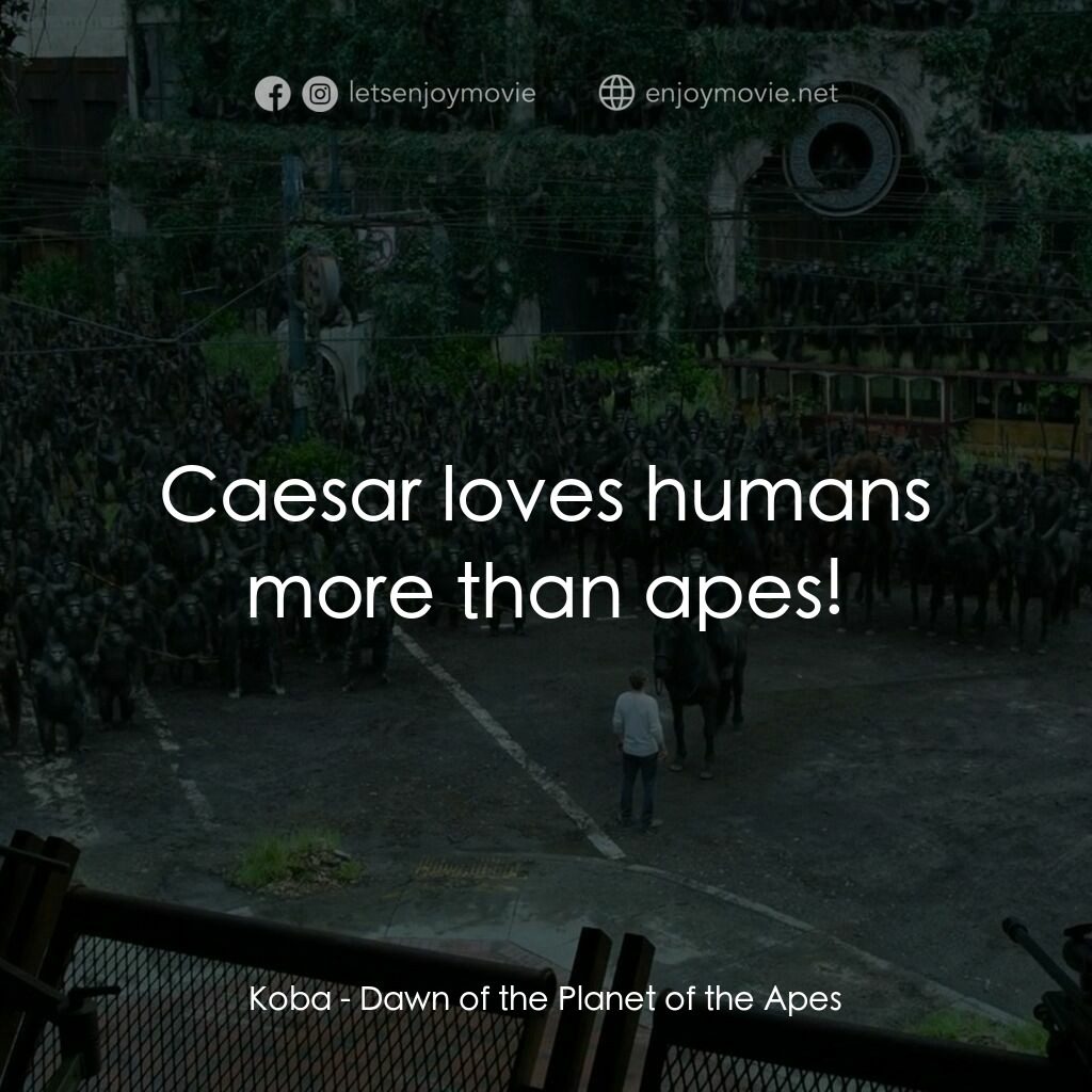 猩球崛起：黎明的進擊電影對白：Koba:  Caesar loves humans more than apes!