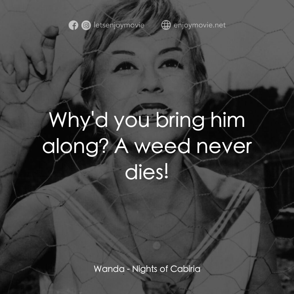 花街春夢電影對白：Wanda:  Why'd you bring him along? A weed never dies!