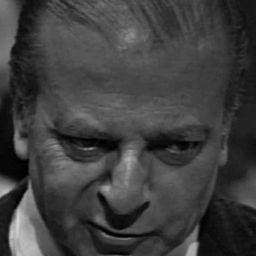 Mario Laurentino - 湖上女郎演員 飾演Doctor