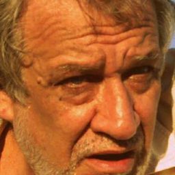 Ricardo Brandão 飾演 Congressman