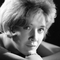 Andrée Lachapelle - Straight for the Heart演員 飾演Invitée au dîner