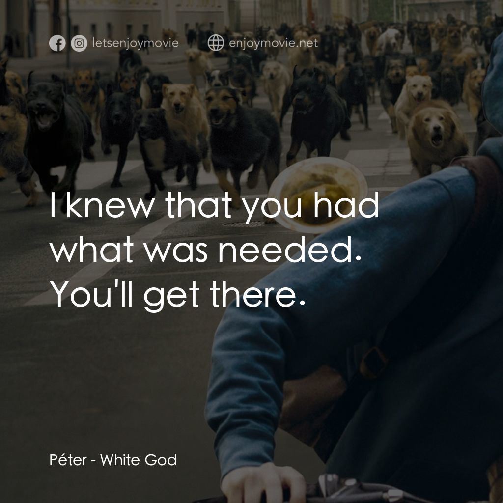 狗眼看人間電影對白：Péter: I knew that you had what was needed. You'll get there.