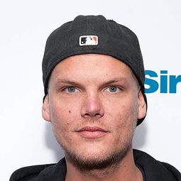 艾維奇 - 電音奇才艾維奇：提姆原色演員 飾演Self (archive footage)