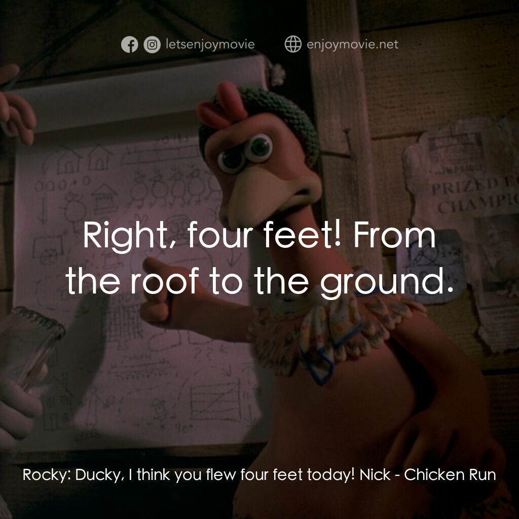 落跑雞!電影對白：Rocky:  Ducky, I think you flew four feet today! Nick:  Right, four feet! From th
