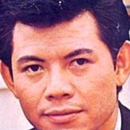 劉琳 - 過年回家演員 飾演Tao Lan